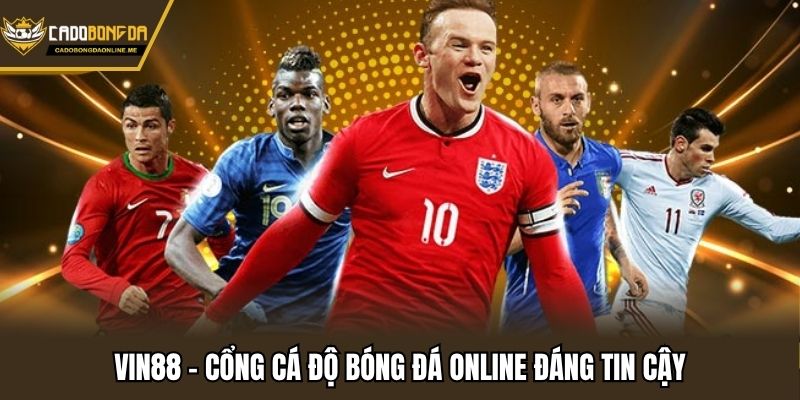 VIN88 - Cổng cá độ bóng đá online đáng tin cậy