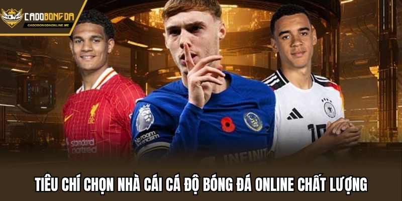 Tiêu chí chọn nhà cái cá độ bóng đá online chất lượng