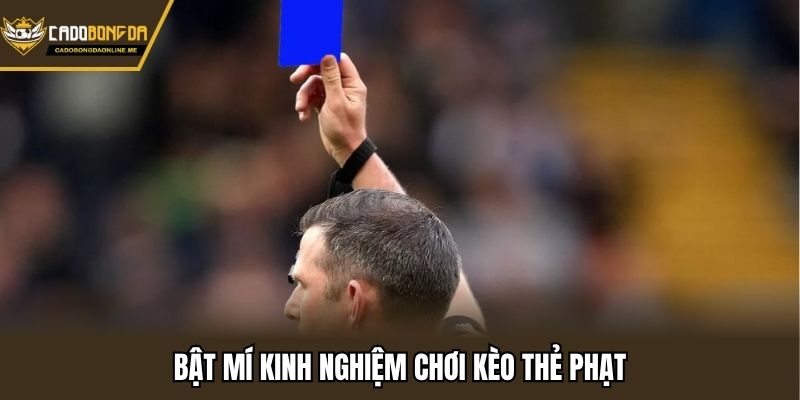 Bật mí kinh nghiệm chơi kèo thẻ phạt
