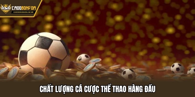 Chất lượng cá cược thể thao hàng đầu