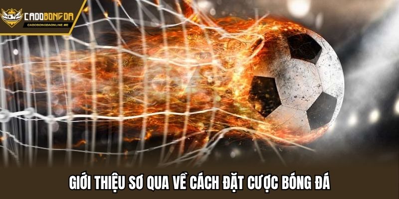 Giới thiệu sơ qua về cách đặt cược bóng đá