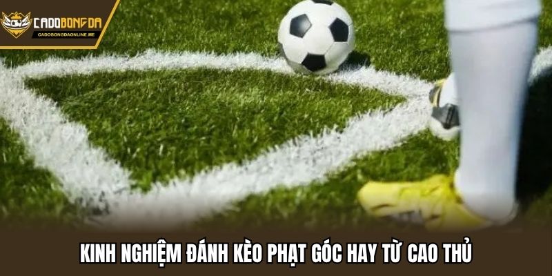 Kinh nghiệm đánh kèo phạt góc hay từ cao thủ