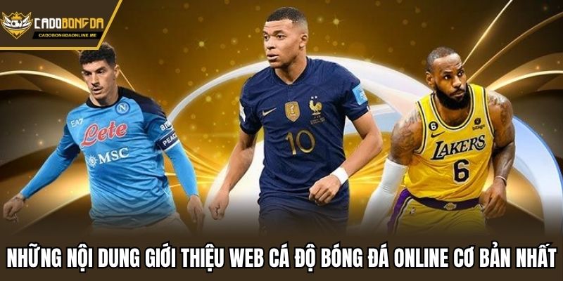 Những nội dung giới thiệu web cá độ bóng đá online cơ bản nhất