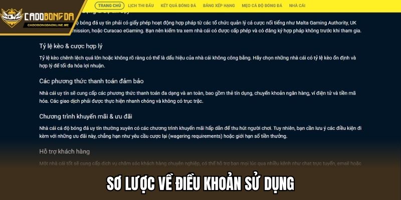 Sơ lược về điều khoản sử dụng