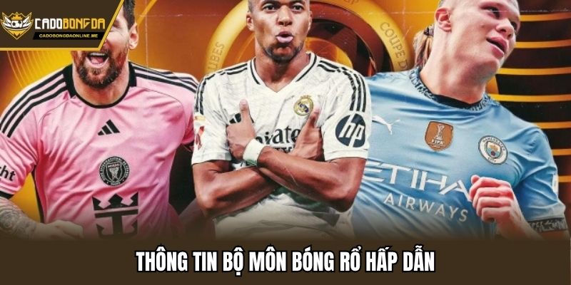 Thông tin bộ môn bóng rổ hấp dẫn