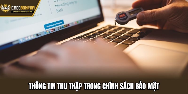 Thông tin thu thập trong chính sách bảo mật