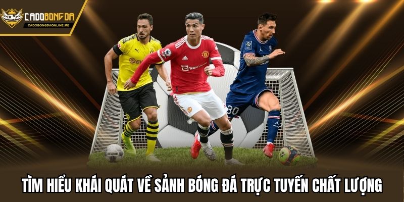 Tìm hiểu khái quát về sảnh bóng đá trực tuyến chất lượng