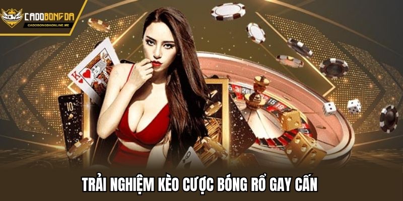 Trải nghiệm kèo cược bóng rổ gay cấn