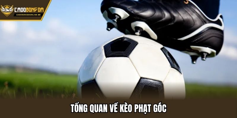 Tổng quan về kèo phạt góc