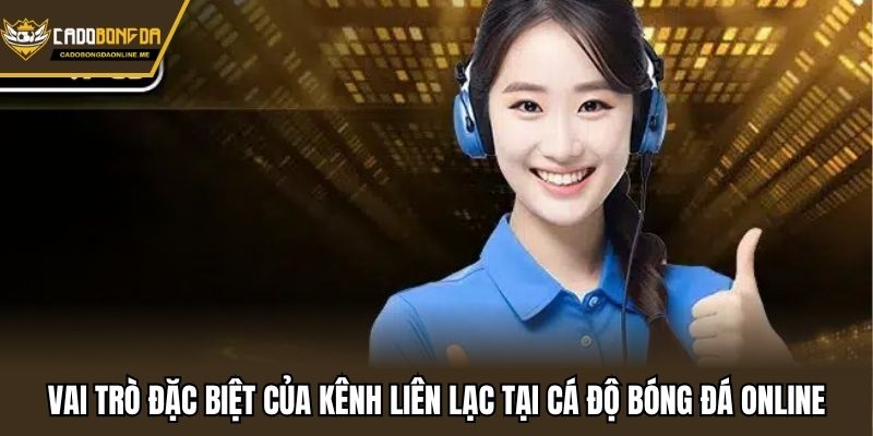 Vai trò đặc biệt của kênh liên lạc tại cá độ bóng đá online